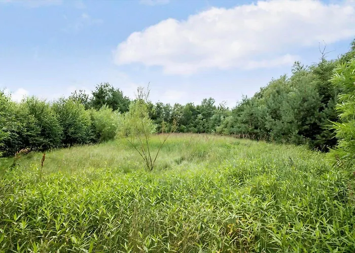 Dom wakacyjny Jb209-fjerritslev-egevej-22